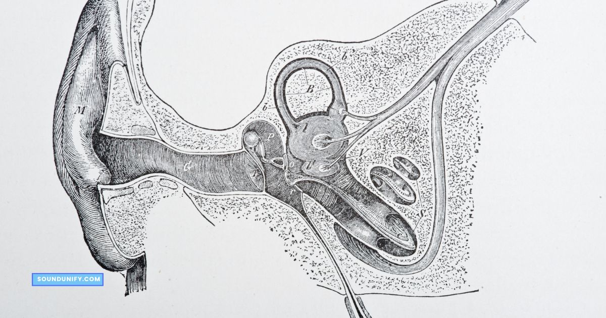 Why Do My Earbuds Keep Falling Out Top 10 Reasons Revealed