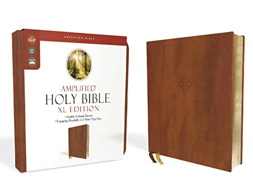 amplified bible giant print