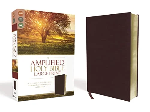 amplified large print bible