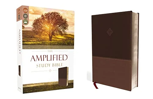 amplified study bible large print