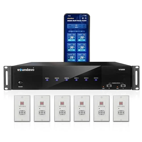 amplifier for whole house speakers