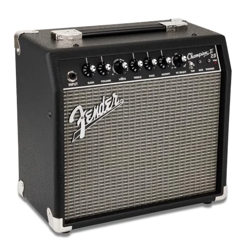 amplifier with built in effects