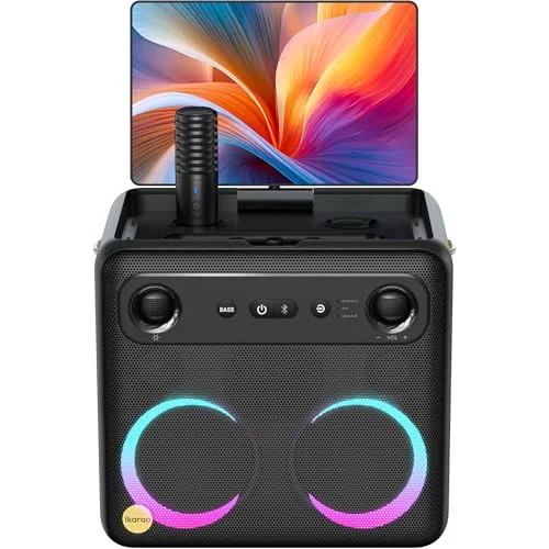 best karaoke system for professional