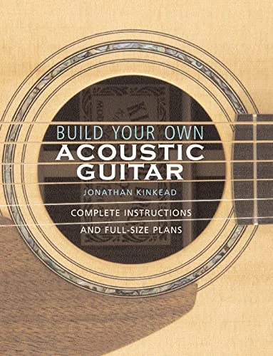 build your own guitar amplifier