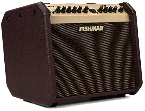 fishman loudbox acoustic amplifier