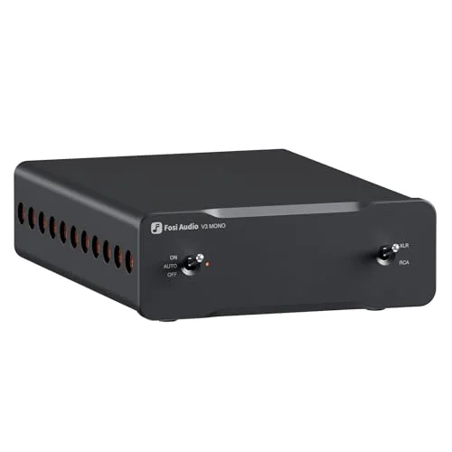 home audio monoblock amplifier