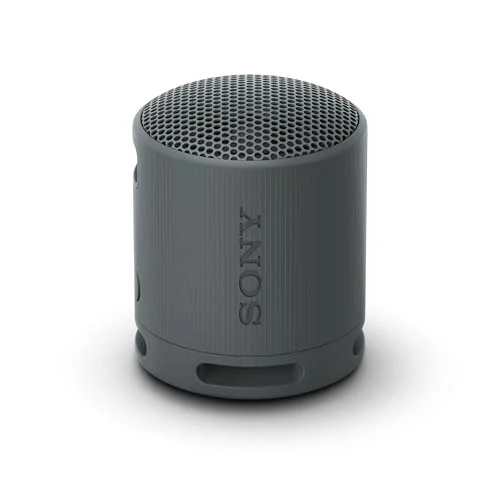best portable speakers sony