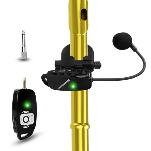 best microphone for flute
